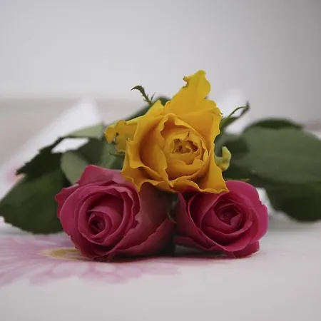 Peter * Kappl (Landeck)