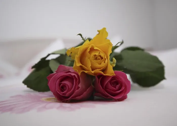 Peter * Kappl (Landeck)