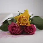 Peter * كابل
